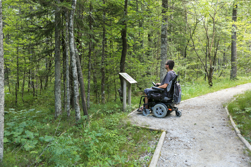 Entrances and Accessibility