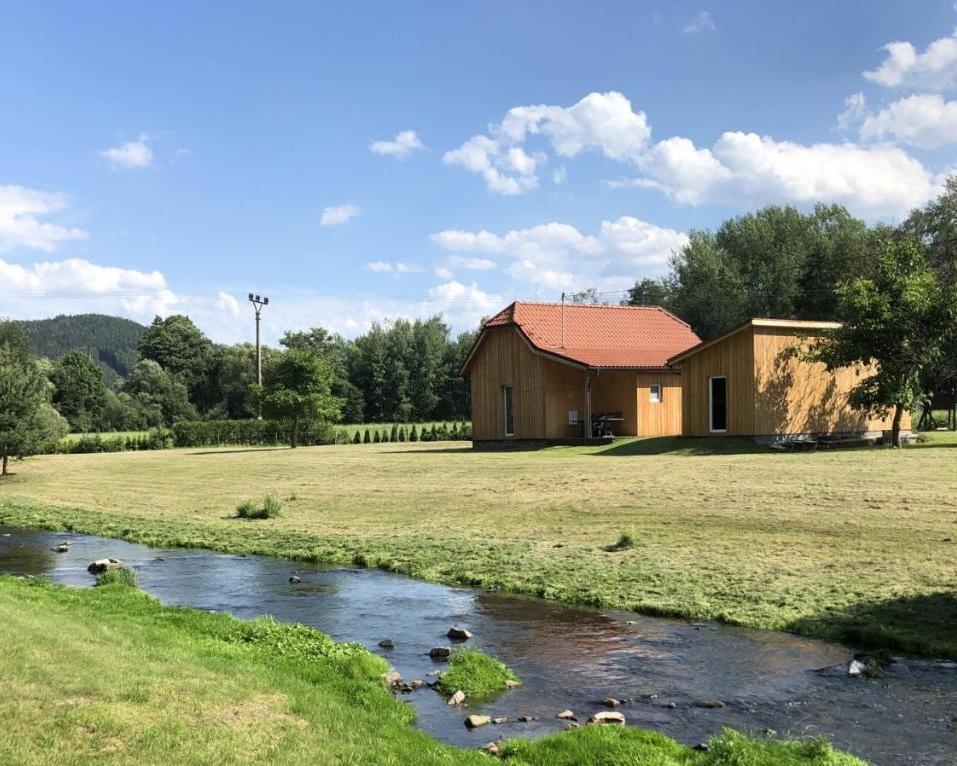 The Healing Power of the Drava: Freshwater Wellness Benefits