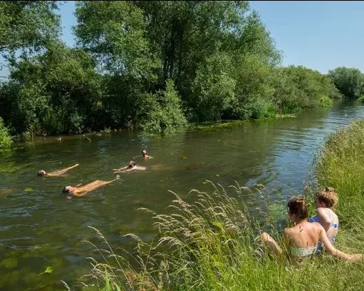 Forest Bathing on the Drava: Recharge Your Mind and Body