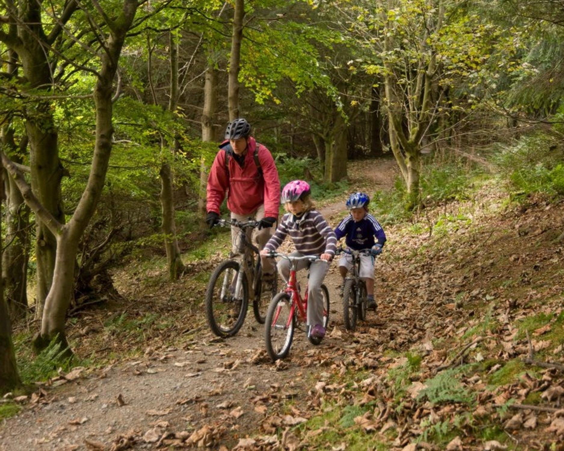 Cycling Through Nature’s Playground