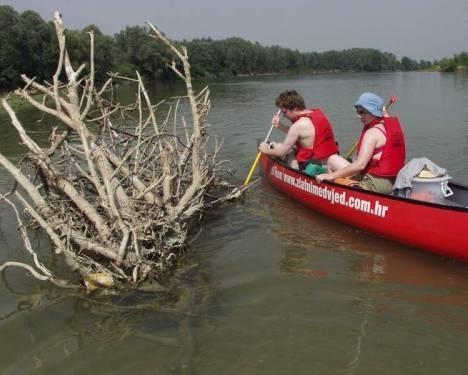 Survival Skills and Traditional Knowledge in the Drava Forest