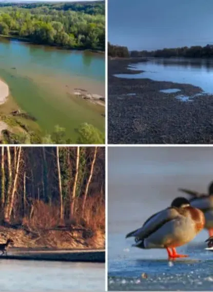 New trail constructed in the southern section